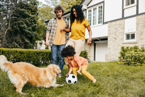 wskazówki, jak uzyskać zatwierdzenie kredytu hipotecznego na dom - rodzina psowatych zdjęcia i obrazy z banku zdjęć
