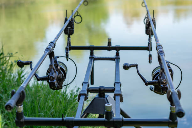 fishing session in the ebro river