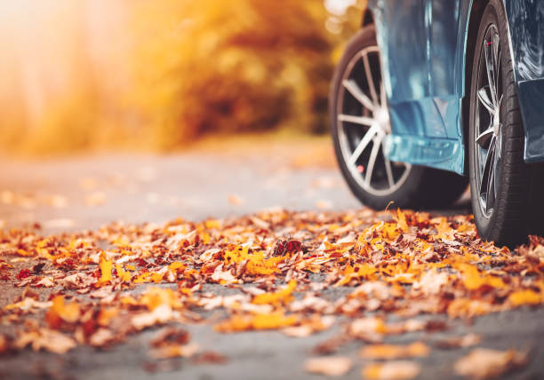 blue car on the road in the natural park. - activity baltic countries beauty in nature blue imagens e fotografias de stock