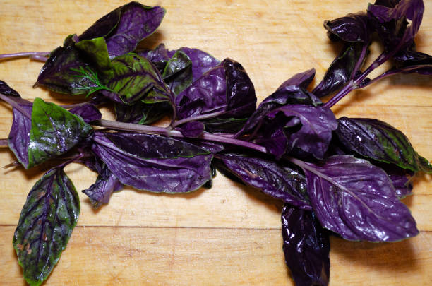 a twig of dark basil on a wooden cutting board