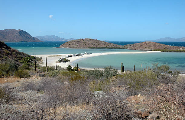 bahia concepción, requeson, baja california sur, méxico - concho imagens e fotografias de stock