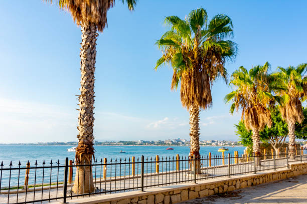istock Palm trees on Side promenade at sunset, Turkey 1340707798