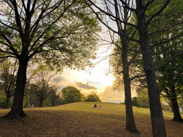 enjoying a quiet sunset surrounded by blooming trees enjoying a quiet sunset surrounded by blooming trees georgia landscape stock pictures, royalty-free photos & images