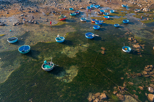 Drone view of basket boats is nailing on Hon Yen beach in a low tide day - Phu Yen province, central Vietnam