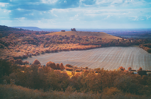 A beautiful autumn day in the Chiltern Hills, Buckinghamshire. This is the view from Coombe Hill, looking out towards beautifully-named Cymbeline's Mount. Image shot on a camera converted to shoot in full-spectrum infrared, giving the scene a very autumnal feel.