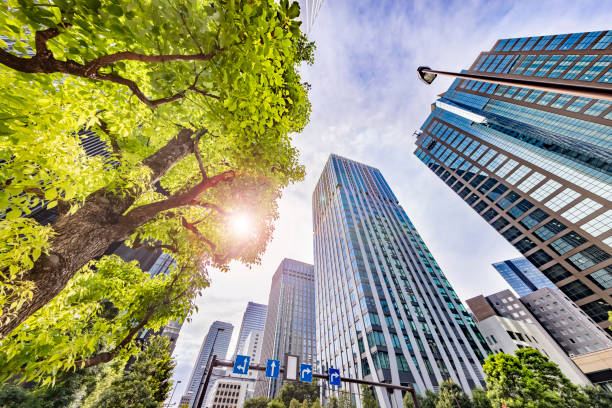 istock Buildings in Tokyo with beautiful sunlight 1340712019