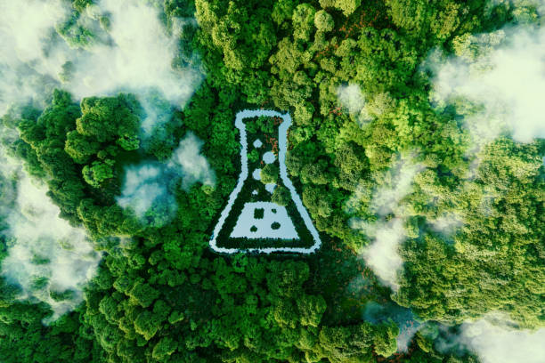 uno stagno a forma di tubo nel mezzo di una lussureggiante foresta pluviale vergine.  rendering 3d. - chemistry laboratory test tube science and technology foto e immagini stock