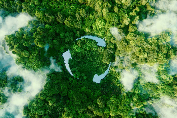 美しい手つかずのジャングルの真ん中にリサイクルシンボルを持つ池の形でリサイクルと再利用する生態学的呼び出しを表す抽象的なアイコン。3d レンダリング。 - 緑色 ストックフォトと画像