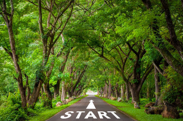 istock Start text on long country road with big tree in the forest. Shows a start something new and challenge or career path, business strategy, opportunity and change my life. 1340717468