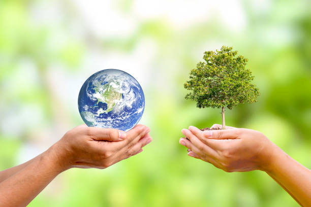 istock tree growing in human hand with planet in human hand world earth day and environmental conservation concept Elements of this image are decorated by NASA. 1340720953