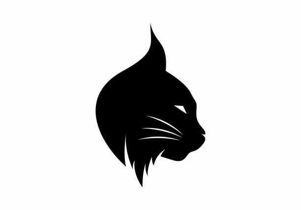 illustrations, cliparts, dessins animés et icônes de couleur noire de la conception de la tête de lynx - lynx