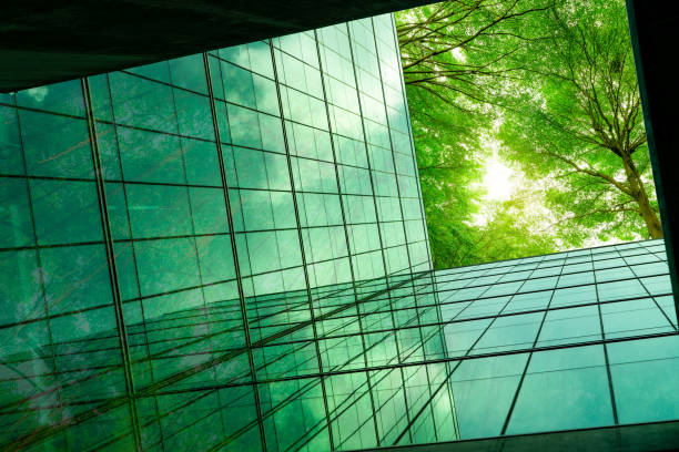 현대 도시에 있는 친환경 건물. 열과 이산화탄소를 줄이기 위한 나뭇잎과 지속 가능한 유리 건물이 있는 녹색 나뭇가지. 녹색 환경이 있는 사무실 건물. 녹색 개념을 이동합니다. - 녹색 뉴스 사진 이미지