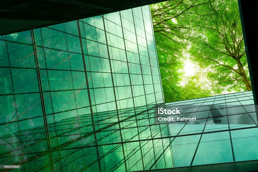 Eco-friendly building in the modern city. Green tree branches with leaves and sustainable glass building for reducing heat and carbon dioxide. Office building with green environment. Go green concept. Sustainable Resources Stock Photo