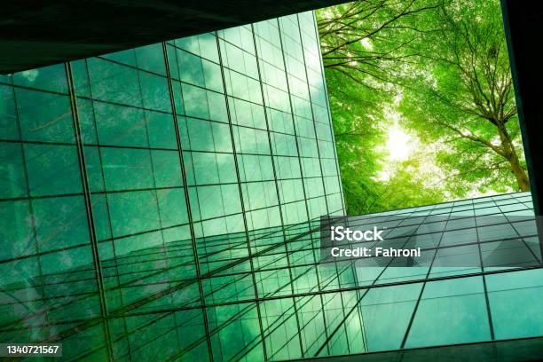 Ecofriendly Building In The Modern City Green Tree Branches With Leaves And Sustainable Glass Building For Reducing Heat And Carbon Dioxide Office Building With Green Environment Go Green Concept Stock Photo - Download Image Now