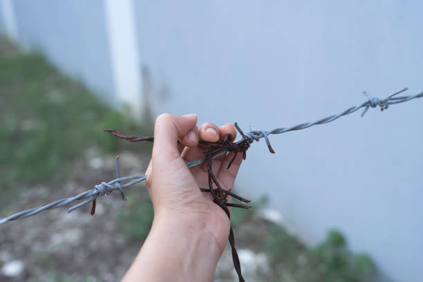 istock Human hand touch old and aged barbwire, 1340723344