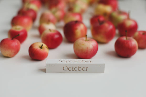 istock hello october. autumn card with fresh red apples on white background top view 1340724485