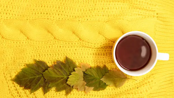 autumn relax with a cup of tea and a blanket
