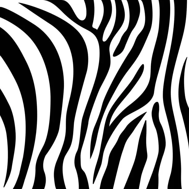 Vector illustration of Zebra seamless pattern, vector design and isolated background seamless.