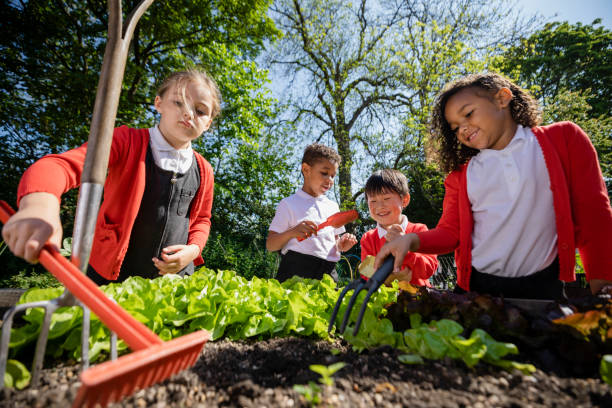 ogrodnictwo na świeżym powietrzu z moją klasą - gardening fork zdjęcia i obrazy z banku zdjęć