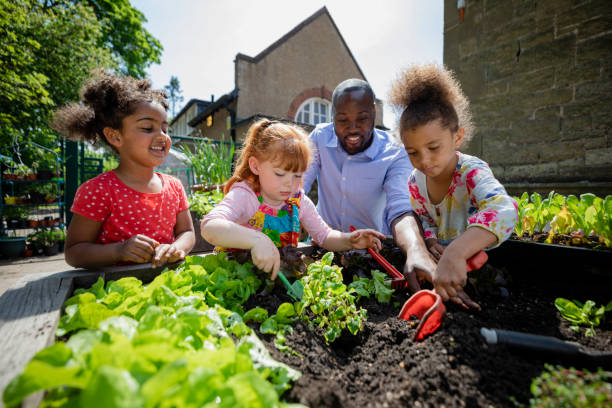 Your Doing A Great Job A teacher and three of his pupils planting flowers in a raised bed in the school garden in a school in Hexham in the North East of England. They are smiling and enjoying getting their hands dirty. community vegetable garden stock pictures, royalty-free photos & images