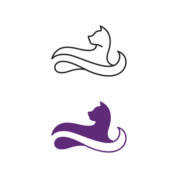 illustrations, cliparts, dessins animés et icônes de conception d’illustration vectorielle d’icône de chat - chat dar