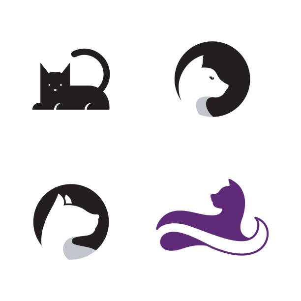 illustrations, cliparts, dessins animés et icônes de conception d’illustration vectorielle d’icône de chat - chat dar