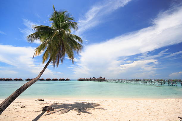 istock Tropical Resort on a Sea 134072874