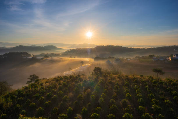 Sunrise on coffee farm hill Sunrise on coffee farm hill in a foggy morning, Da Lat city, Lam Dong province, central highlands Vietnam central highlands vietnam photos stock pictures, royalty-free photos & images