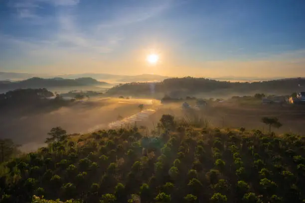 Sunrise on coffee farm hill in a foggy morning, Da Lat city, Lam Dong province, central highlands Vietnam