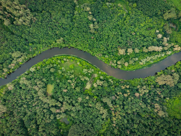 istock Aerial view over the river which is on the green forest. 1340731270