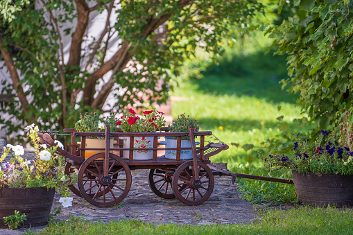 Garden composition with wooden rustic cart with bright flowers in the yard in the ethnographic village of Holloko in Hungary