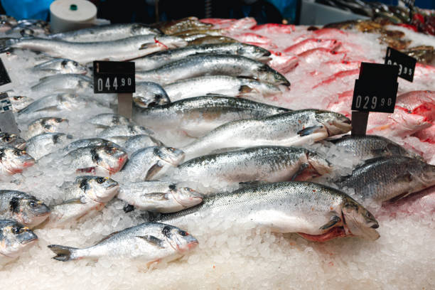 istock Fresh fish assorted on ice counter in supermarket 1340734062