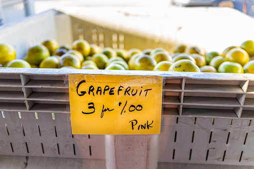Pink grapefruit in box container at farmer's market store, shop selling for three dollars per pound in Naples, Florida