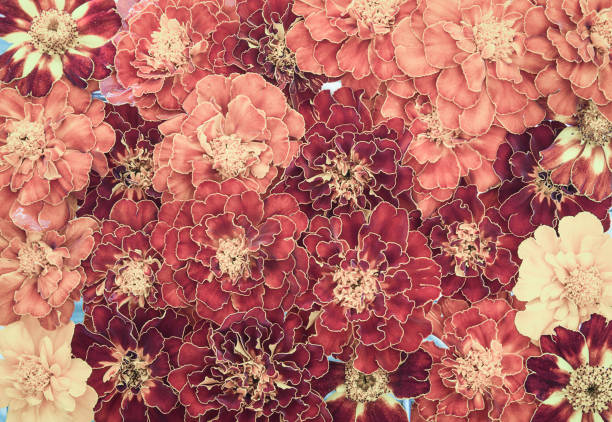 istock Floral background in retro style 1340735204