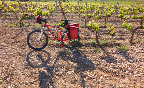 istock Camino de Santiago in bicycle Saint James 1340736477