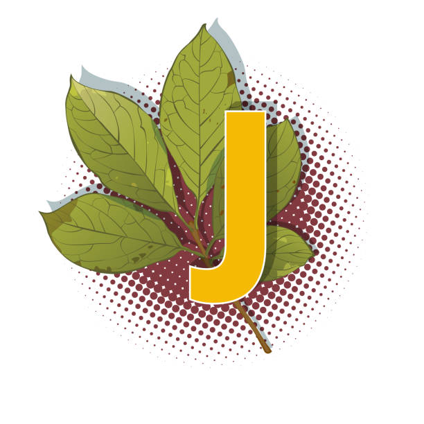 가을 3d 팝 아트 알파벳 - 다채로운 굵은 글자 j - letter j alphabet three dimensional shape green stock illustrations