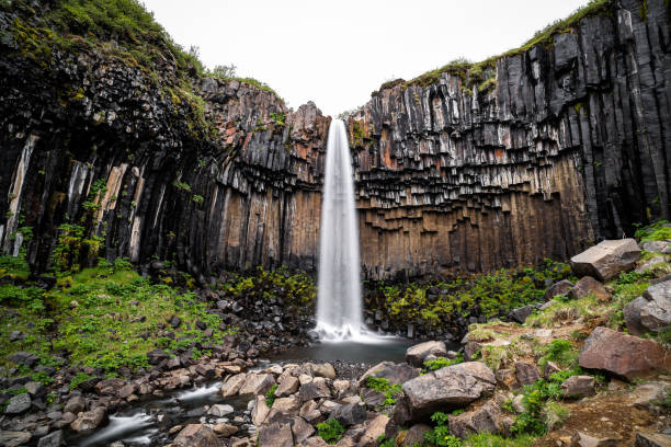 istock Svartifoss in Iceland 1340741807