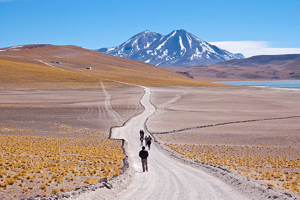 chileno altiplanicie - cerro miscanti fotografías e imágenes de stock