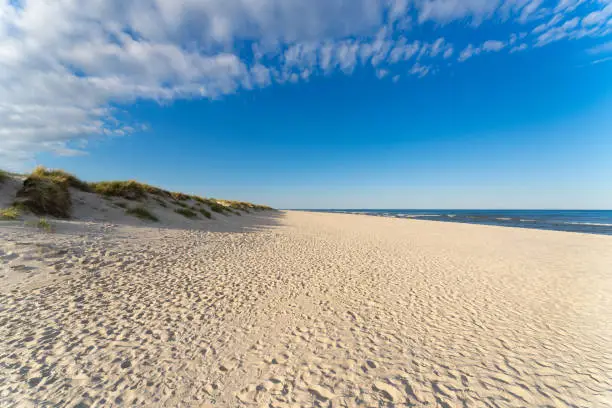 Amazing white sand beach in Sandhammaren, Sweden. Popular tourist destination in summer season.