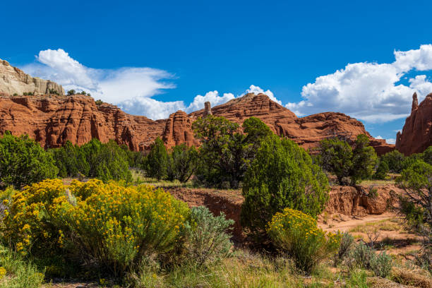 istock Sedimentary Pipes in Kodachrome Basin State Park 1340750430