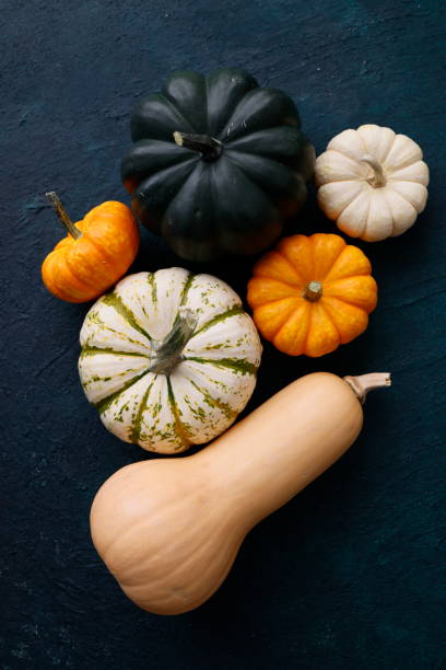 Pumpkin varieties on petrol blue rough concrete floor