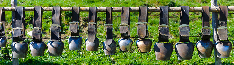 group of cow bells in line on fence in Bavaria