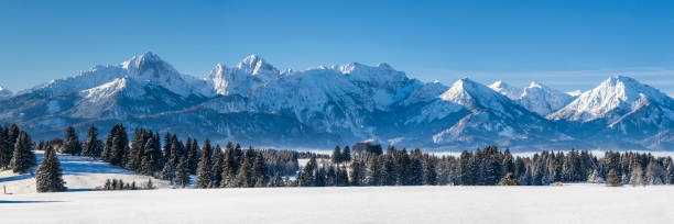 panoramic landscape in region Allgaeu in Bavaria at winter panoramic landscape in region Allgaeu in Bavaria at winter forggensee lake photos stock pictures, royalty-free photos & images