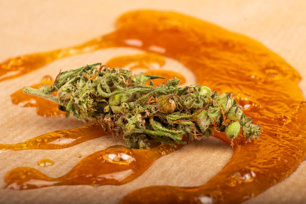 dried cannabis bud with concentrate wax oil closeup stock photo