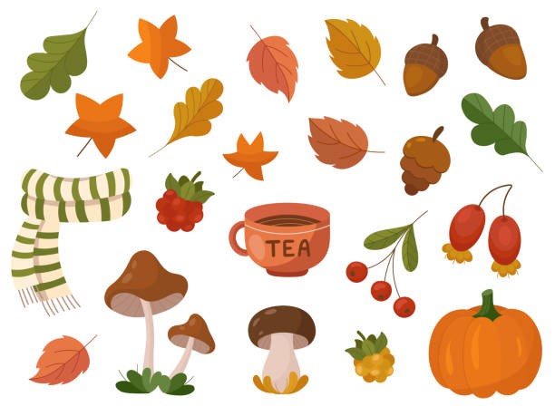 Fall attributes like autumn leaves, berries, mushrooms, warm scarf and tea. Autumn decorative elements in cartoon hand drawn vector style. sable stock illustrations