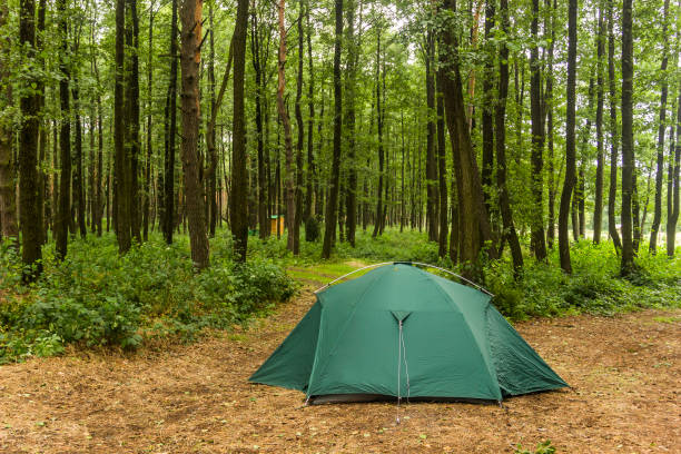 istock green tent in the forest 1340761715