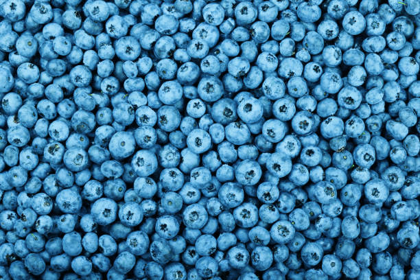 istock Background of fresh blueberry berries 1340761956
