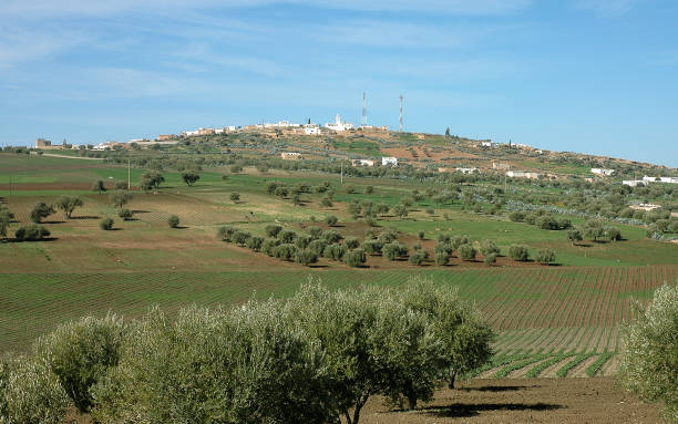 istock Beautiful natural landscape of Morocco 1340778252