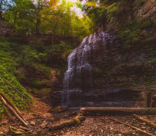 istock Tiffany Falls - Hamilton Ontario 1340782384