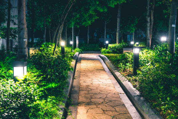 camino en el jardín por la noche - bush landscape landscaped scenics fotografías e imágenes de stock